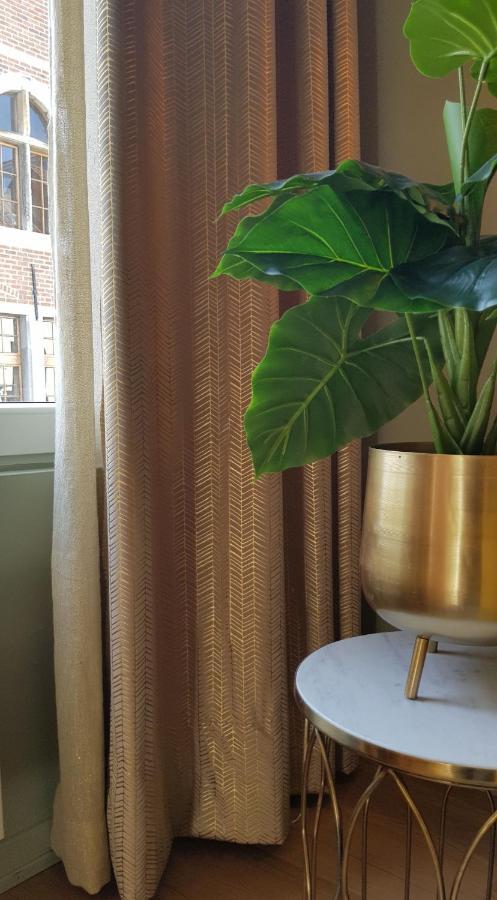 - Chique Apartment